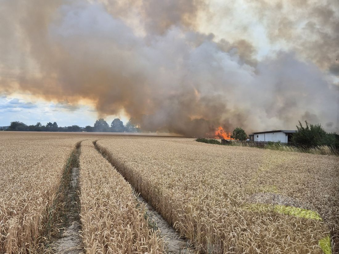 Rauchwolke und Flammen über einem Getreidefeld, gesehen aus dem Einsatzfahrzeug